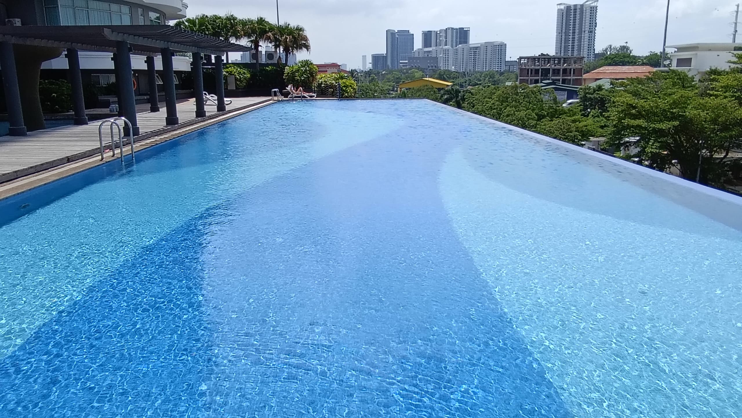The View