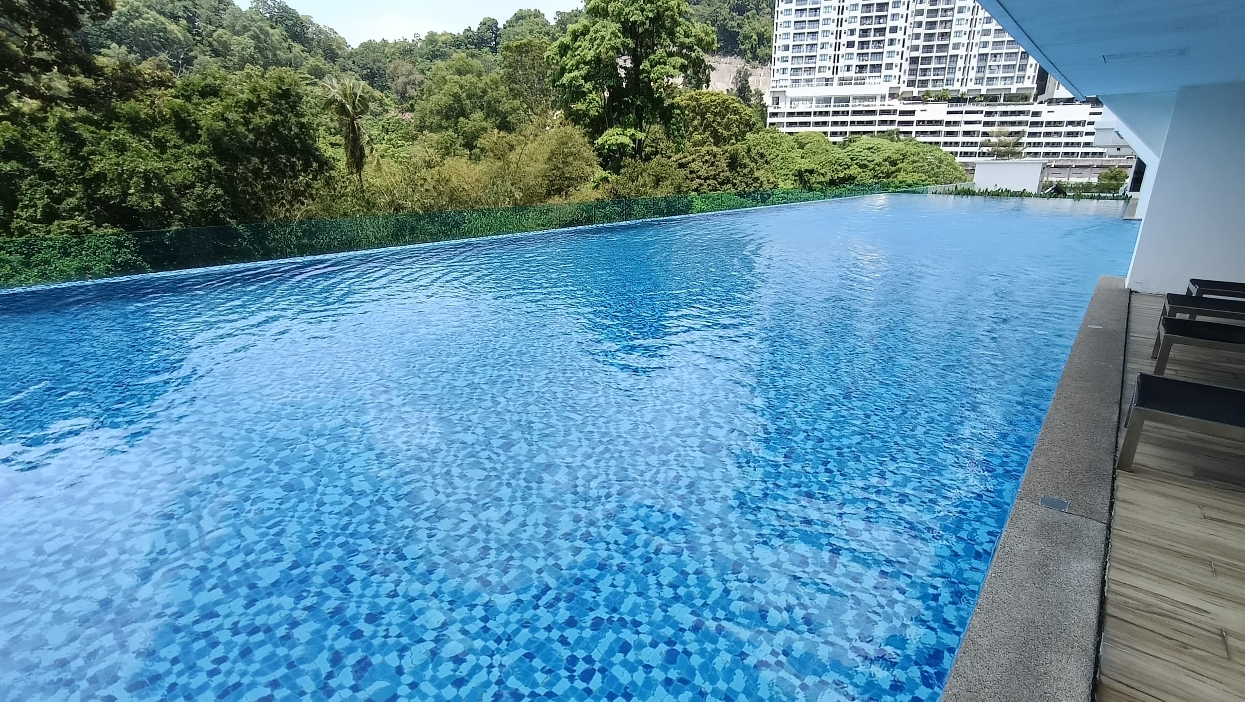 Skyridge Garden
