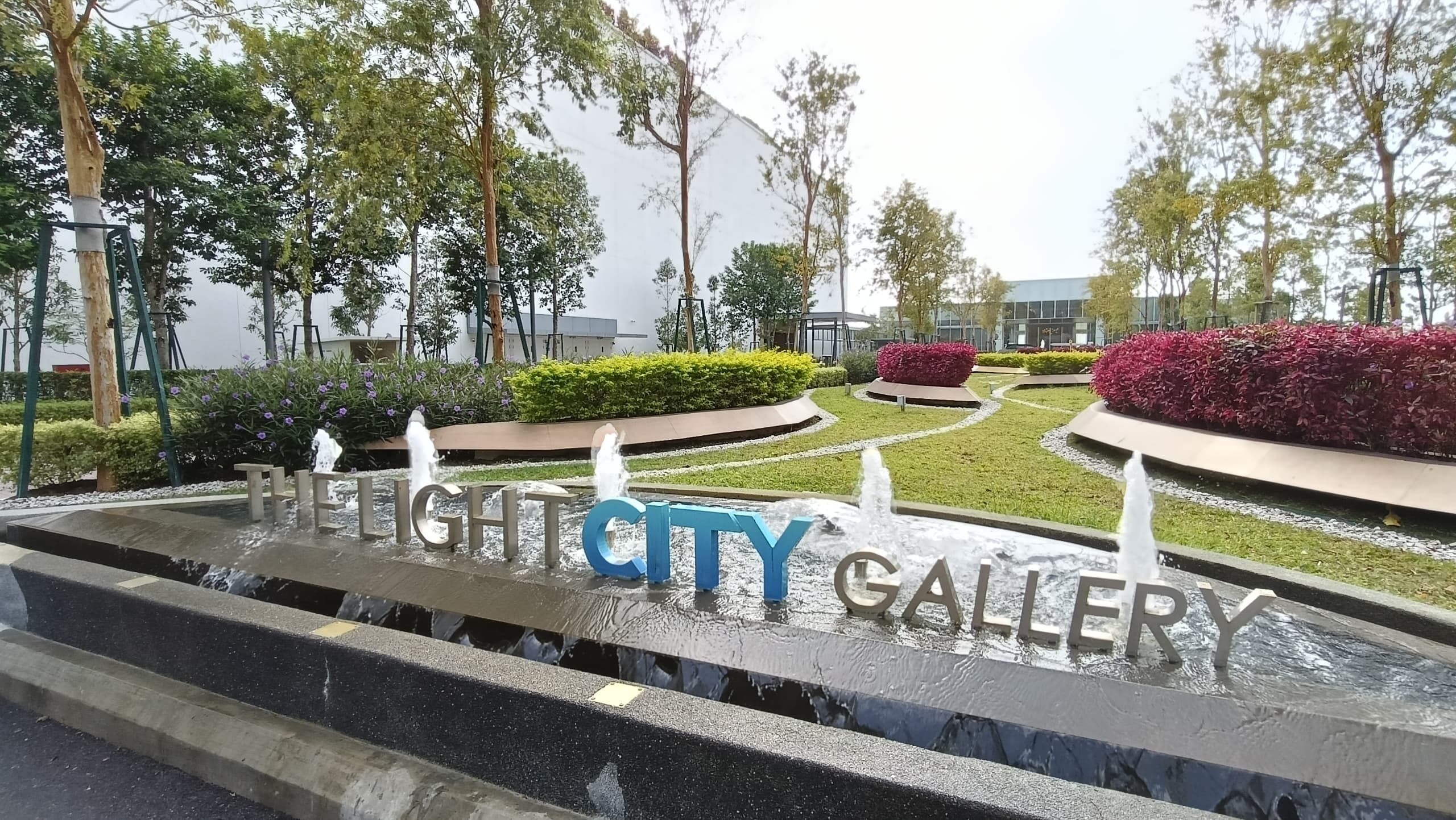 The Light City